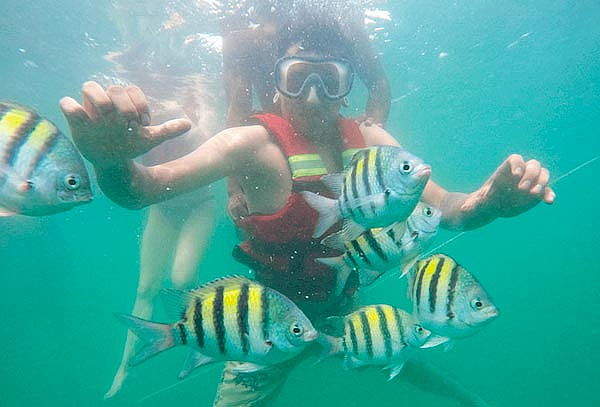 Tour Mágico en Barú con Almuerzo y Actividad de Snorkeling