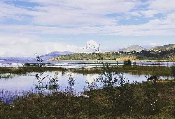 Noche Romántica en Pareja en Guatavita con Vista al Embalse