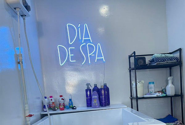 Baño - Spa para Gatos con Secado en Cabina Anti Estrés