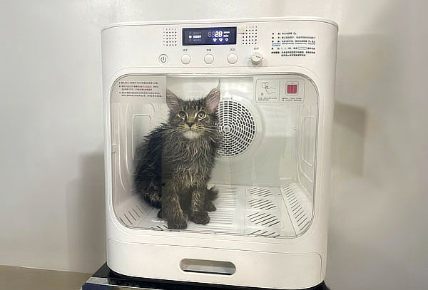 Baño - Spa para Gatos con Secado en Cabina Anti Estrés