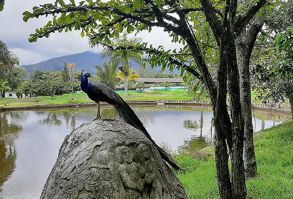 2x1 Pasaporte de Ingreso a Cutucumay en Chinauta