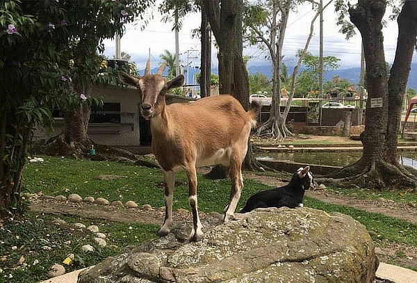 2x1 Pasaporte de Ingreso a Cutucumay en Chinauta