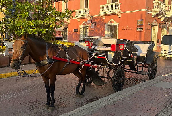 Cena Romántica y Paseo en Coche por la Ciudad Amurallada