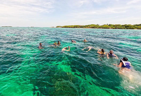 Pasadía en Playa Blanca con Recorrido Manglares + Snorkel