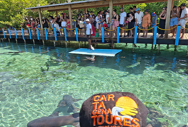 Tour a Playa Blanca + Recorrido Panorámico Islas del Rosario