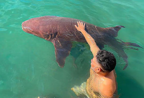 Excursión a Mucura + Islote de Santa Cruz + Almuerzo
