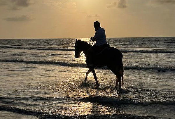 Cabalgata al Atardecer + Parrillada de Mar en Cartagena