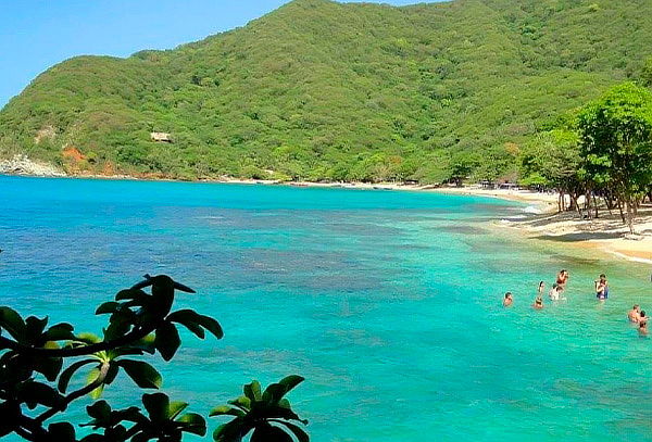 Tour Tayrona, 7 Olas, Neguanje y Playa Cristal