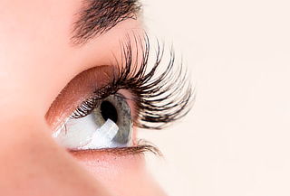 Extensión Pestañas Pelo a Pelo + Sombreado de Cejas 