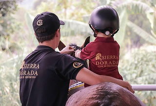 Clases de Estimulación Temprana con Caballos para Niños  
