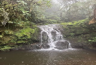 Full Day Cascadas de Sibaté
