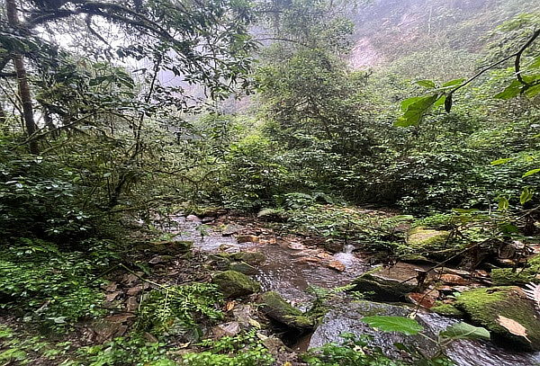 Full Day Cascadas de Sibaté