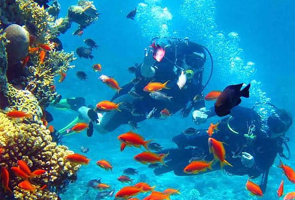 Aquanautas, Caminata Submarina en Santa Marta