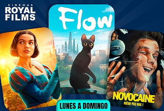 1 Entrada 2D Plus/Ultra a Royal Films ¡Lunes a Domingo!