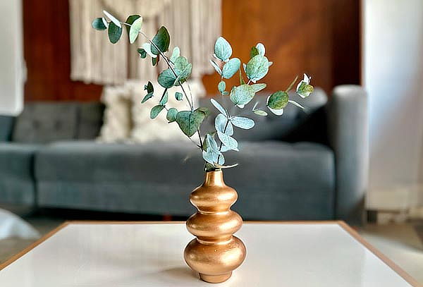 Florero Origen Pequeño para Decorar + Rama de Eucalipto