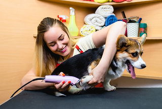 Spa, Baño y Peluquería Canina en la Floresta