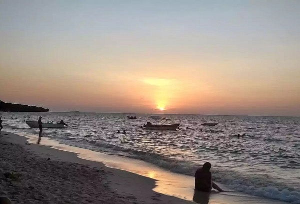  Atardecer En Barú + Snack + Plancton + Transporte.