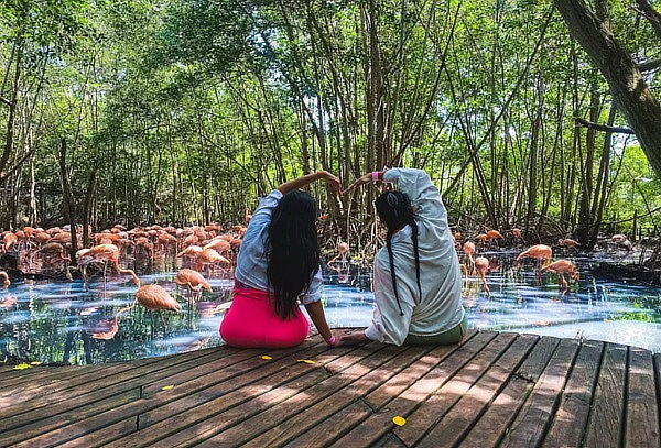 Visita 2x1 Acuario + Aviario + Almuerzo Típico