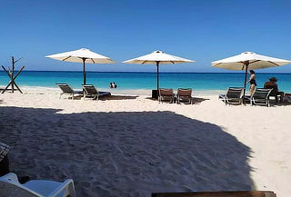 Pasadía en Playa Blanca + Snorkeling + Mapaches.