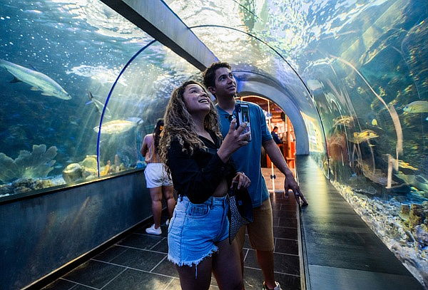 Santa Marta 3D/2N Para 2 Personas + Acuario + Transporte