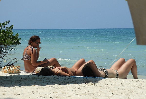 BARÚ ECOPLAN BASIC: Aviario + Día de Playa + Almuerzo