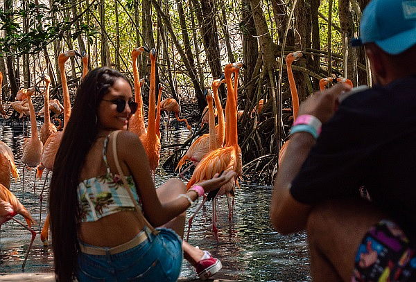 BARÚ ECOPLAN BASIC: Aviario + Día de Playa + Almuerzo