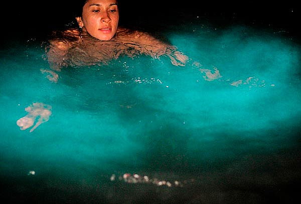 Cartagena, Plancton Bioluminiscente + Playa Tranquila Barú