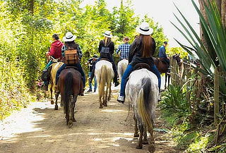 Cabalgata de 2 Horas en Rionegro Antioquia