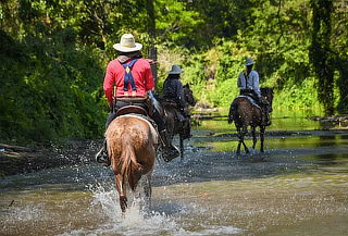 Antioquia: Cabalgata + Día de Sol + Almuerzo 