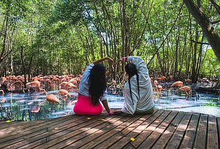 BARÚ ECOPLAN PRE: Aviario Nacional + Día de Playa + Almuerzo