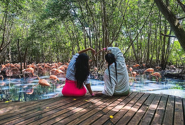 BARÚ ECOPLAN PRE: Aviario Nacional + Día de Playa + Almuerzo