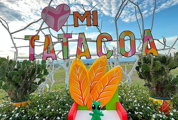 3 Días /2 Noches Desierto De La Tatacoa + Desierto Rojizo