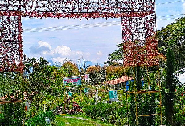 Medellin Tour Silletero: Transporte-Alimentación-Actividades