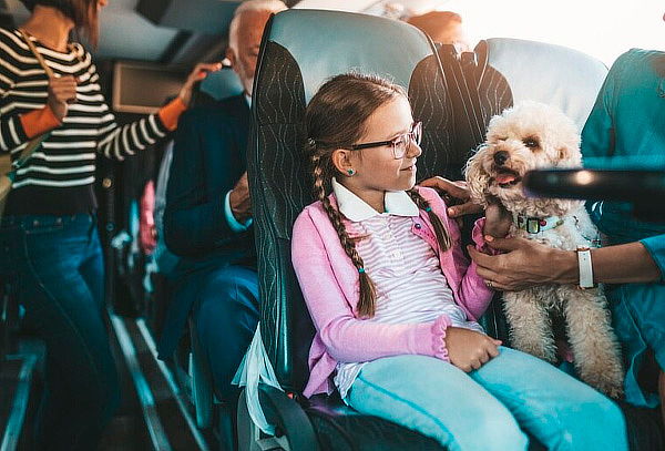 Certificado Perro de Servicio para Viajar Avión 