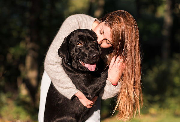 Sesión Fotográfica para Mascotas en Exteriores