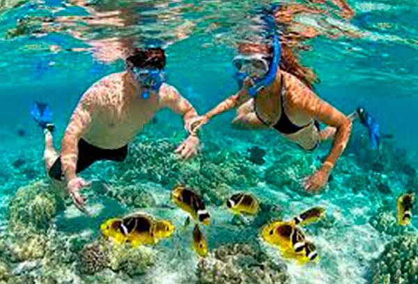 Pasadía Playa Tranquila Barú VIP + Snorkel Bajo + Almuerzo