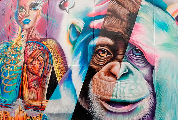Tour Full Graffitour Comuna 13 + Transporte 