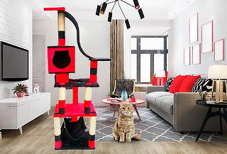 Gimnasio para tu Gato con 5 Niveles de Diversión