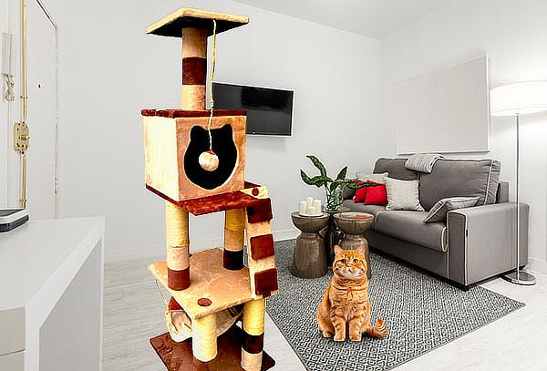 Gimnasio para Gato de 3 Niveles + Hamaca + Cama Acolchada