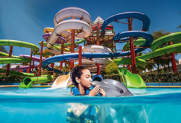 Encuentro con Delfines en Puerto Vallarta + Parque Acuático 