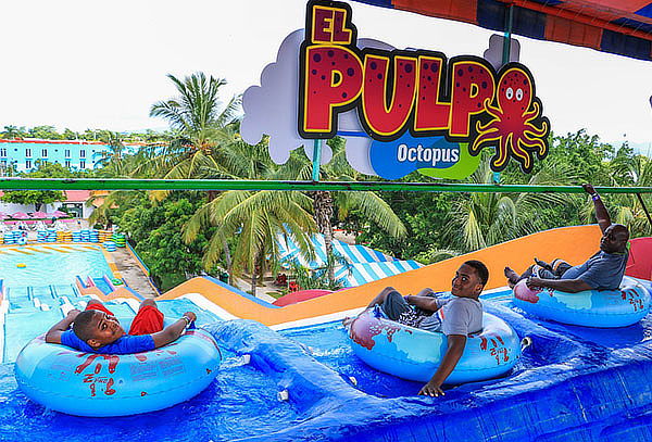 Encuentro con Delfines en Puerto Vallarta + Parque Acuático 