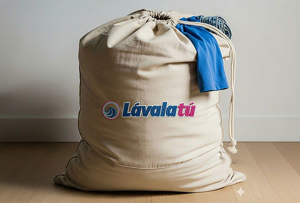 Servicio de Lavandería a Domicilio Máximo 13 Libras 