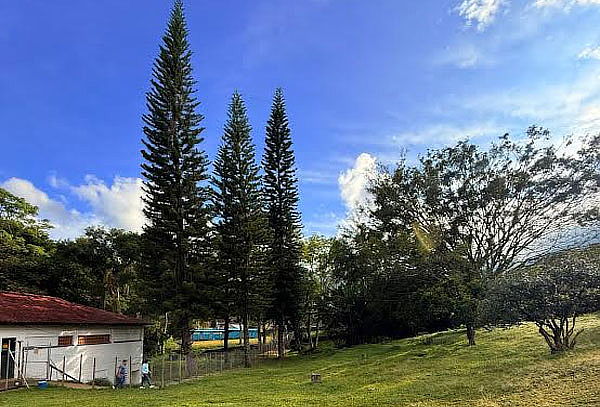 Hotel Canino Alojamiento Campestre + Actividades