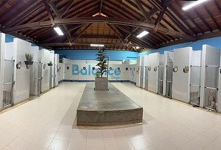 Hotel Canino Alojamiento Campestre + Actividades