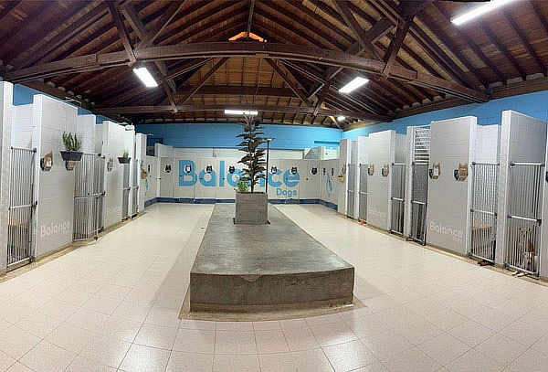 Hotel Canino Alojamiento Campestre + Actividades