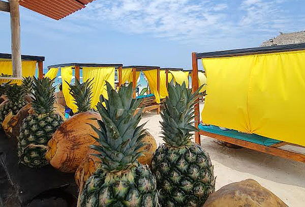 Pasadía Playa Tranquila en Barú + Traslados + Almuerzo
