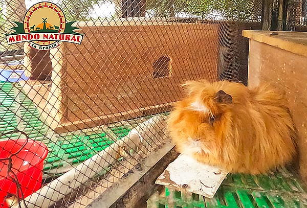 Combo 1: Entrada a la Granja Mundo Natural en Mundo Aventura