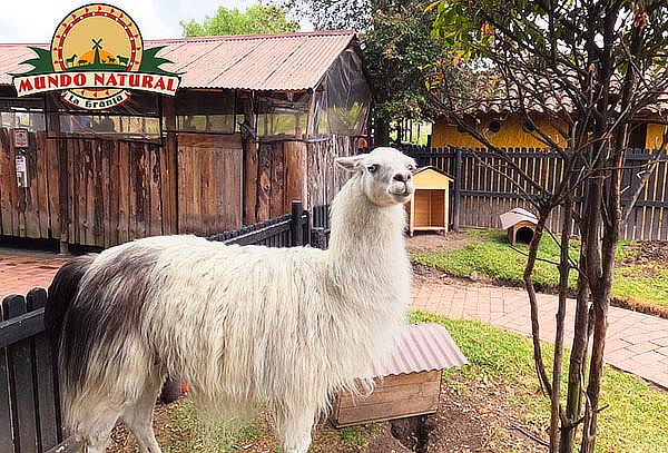 Combo 1: Entrada a la Granja Mundo Natural en Mundo Aventura