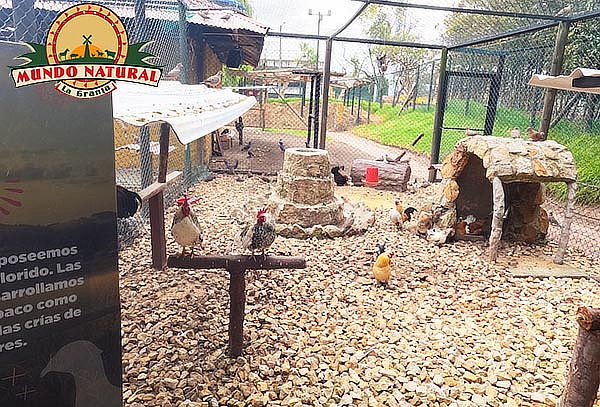 Combo 1: Entrada a la Granja Mundo Natural en Mundo Aventura