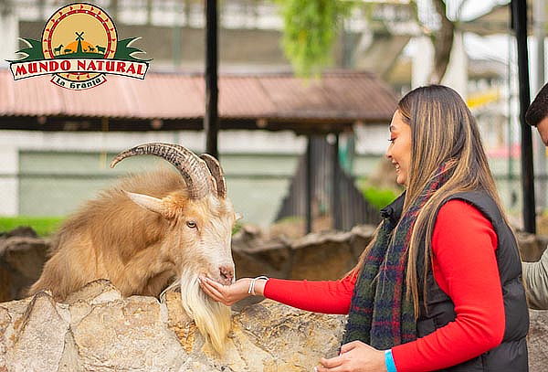 Combo 1: Entrada a la Granja Mundo Natural en Mundo Aventura